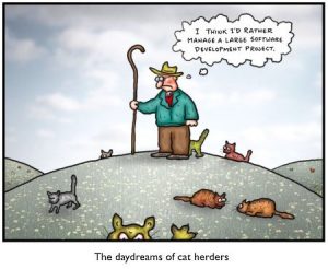 The art of Project Management - Herding cats