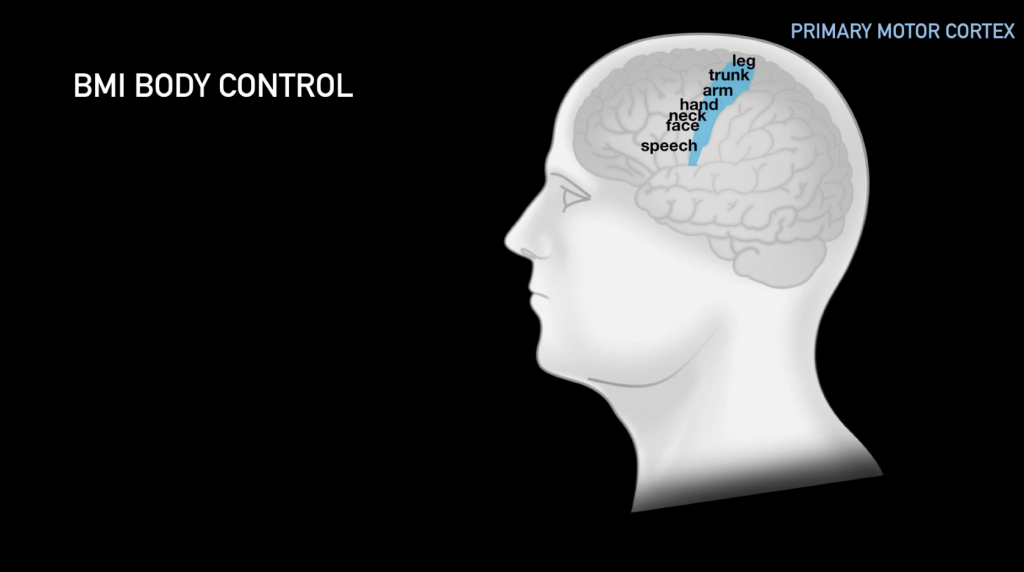 Brain Mind Interface - Leg / Trunk/ Arm / Hand / Neck / Face / Speech